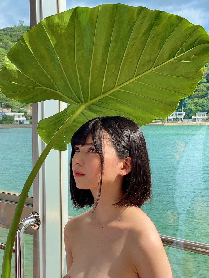 日野莉子(日野りこ)出道作品及封面，日野莉子个人资料-乐游舍