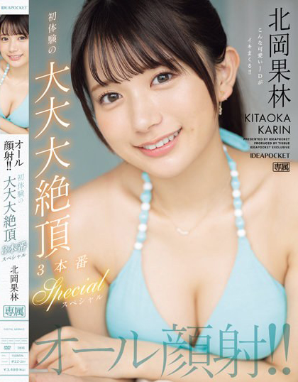 北岡果林(北冈果林，Kitaoka-Karin)作品IPZZ-291介绍及封面预览-乐游舍