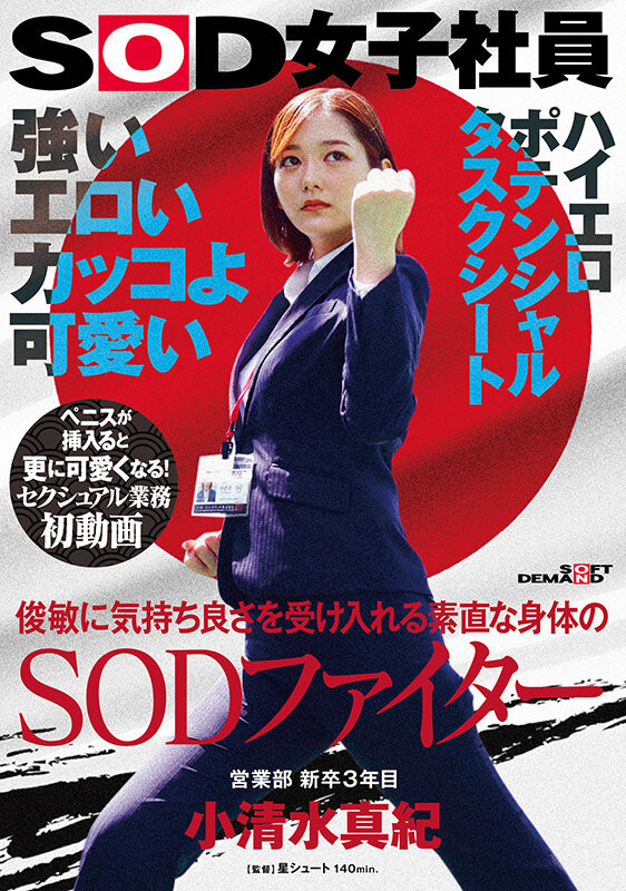 水澄せいら(水澄圣良，Mito-Seira)作品SDJS-235介绍及封面预览-乐游舍