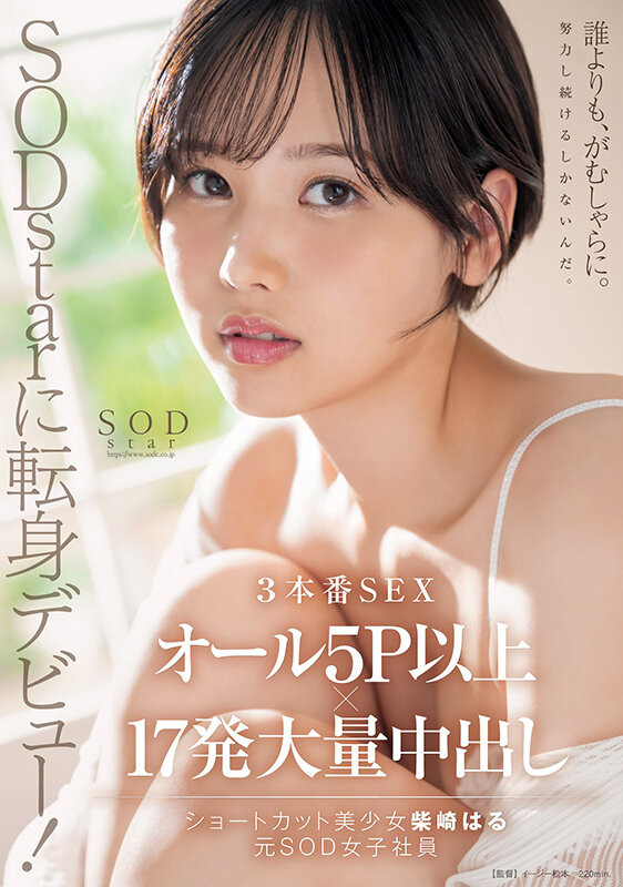 柴崎はる(柴崎春，Shibasaki-Haru)作品START-043介绍及封面预览-乐游舍