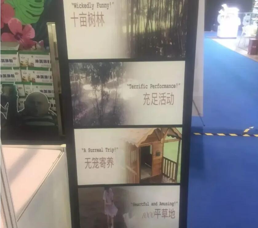 轻创业项目，宠物行业冷门市场–宠物寄养-乐游舍